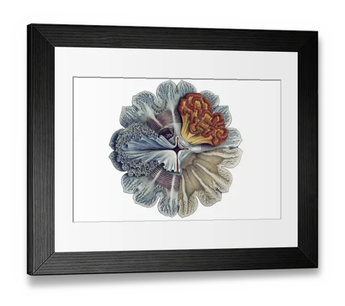 Framed Print : Historic illustration, tablet 8 Framed Print : Historic illustration, tablet 8