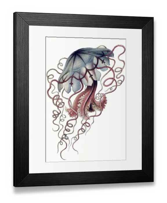 Framed Print : Historic illustration, tablet 8 Framed Print : Historic illustration, tablet 8