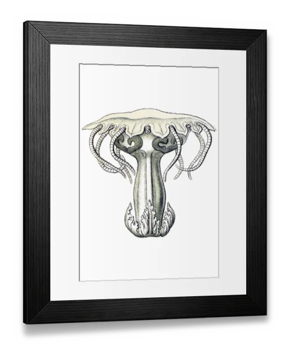 Framed Print : Historic illustration, tablet 18