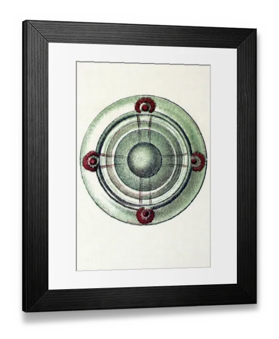 Framed Print : Historical illustration, Siphonophorae Framed Print : Historical illustration, Siphonophorae