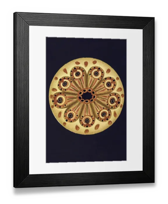 Framed Print : Historical illustration, Ascidiacea Framed Print : Historical illustration, Ascidiacea