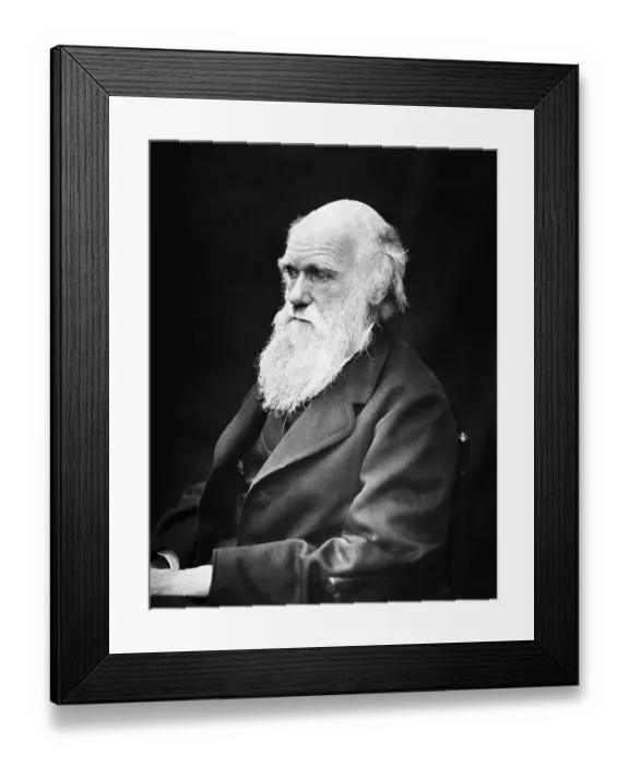 Framed Print : Historical picture, Charles Darwin at the age of 60