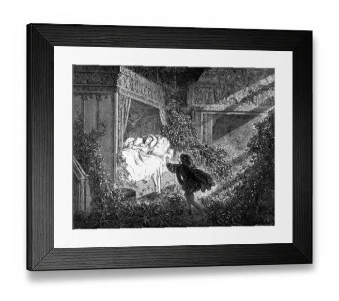 Framed Print : Sleeping Beauty, prince finds sleeping princess in a room full of roses Framed Print : Sleeping Beauty, prince finds sleeping princess in a room full of roses