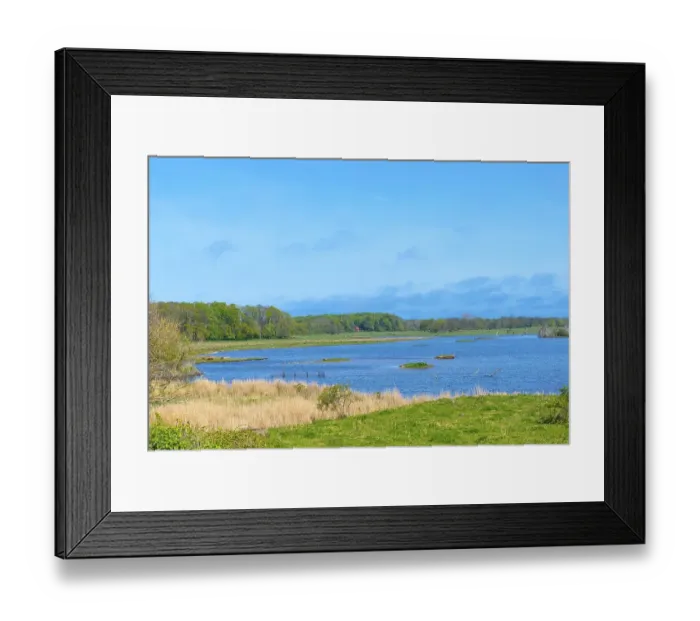 Framed Print : Nature reserve, NSG Geltinger Birk