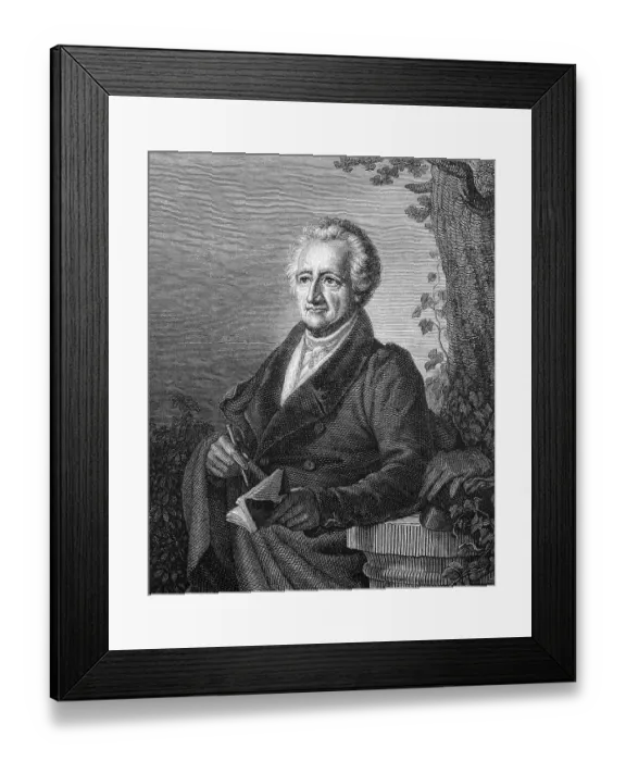 Framed Print : Johann Wolfgang von Goethe (1749-1832) Framed Print : Johann Wolfgang von Goethe (1749-1832)