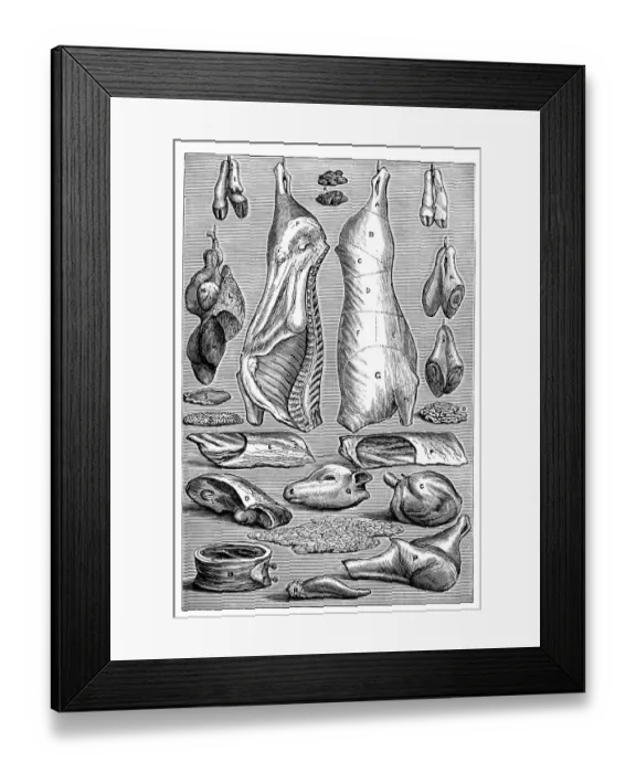 Framed Print : Veal, historical illustration from: Marie Adenfeller