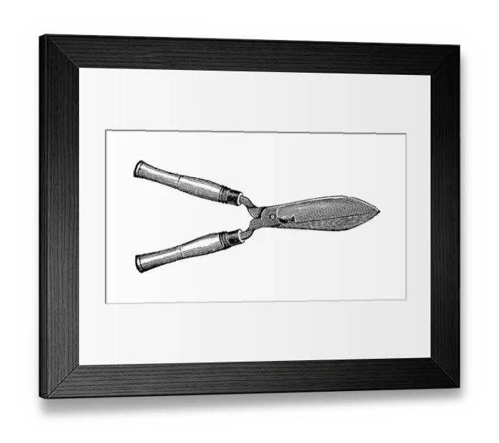 Framed Print : Hedge clippers, historical illustration