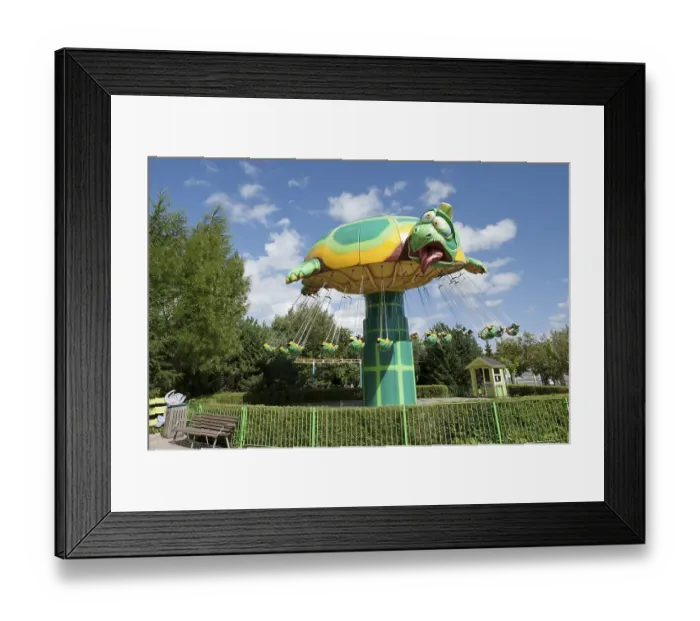 Framed Print : Turtle-shaped whirligig, Bon Bon Land