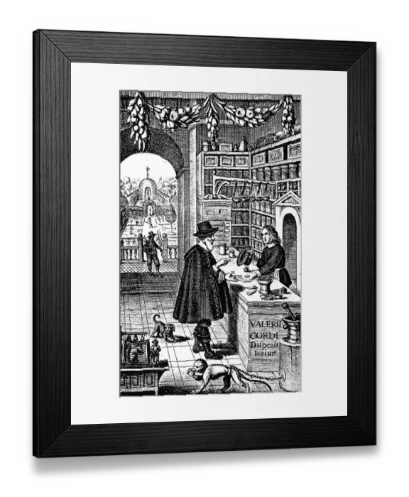 Framed Print : Historic depiction from 1632, representing a pharmacy with herbarium Framed Print : Historic depiction from 1632, representing a pharmacy with herbarium