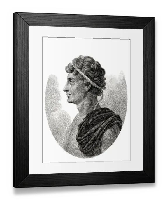 Framed Print : Historical steel engraving from the 19th Century Framed Print : Historical steel engraving from the 19th Century