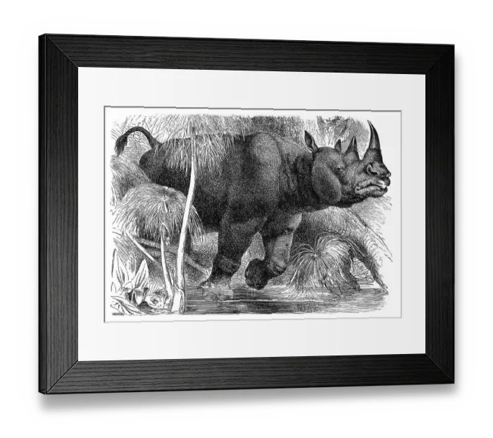 Framed Print : Historical graphic representation Framed Print : Historical graphic representation