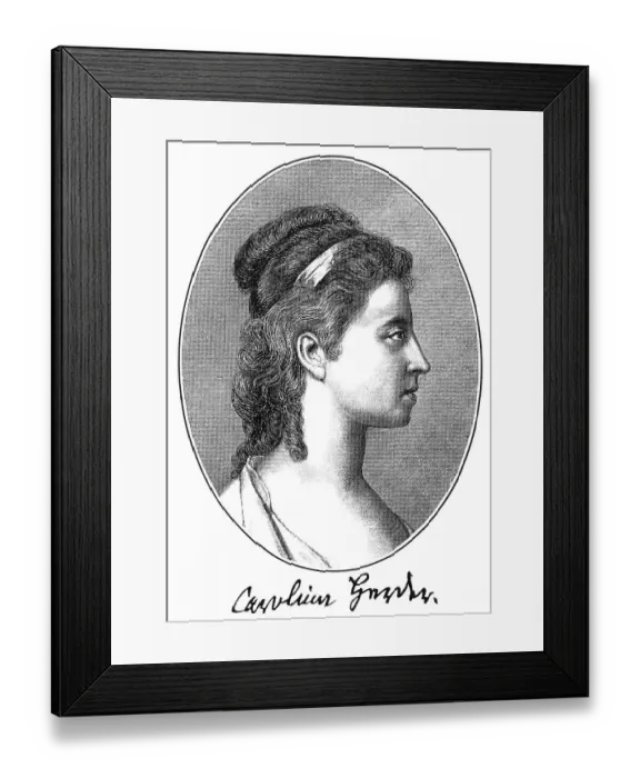 Framed Print : Historic print, copper engraving Framed Print : Historic print, copper engraving