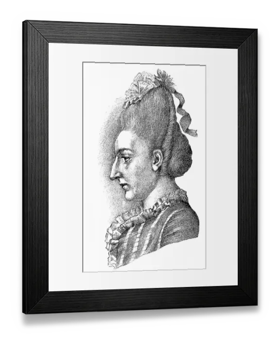 Framed Print : Historic print, engraving, drawn 1773