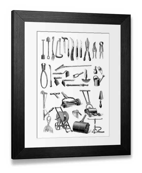 Framed Print : Historical illustration from the 19th Century Framed Print : Historical illustration from the 19th Century