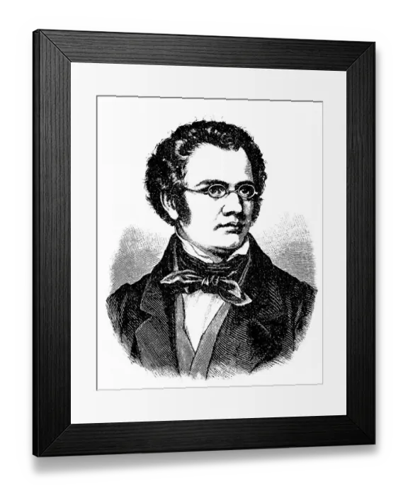 Framed Print : Historical drawing from the 19th Century