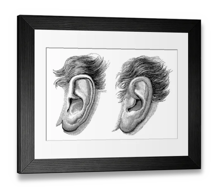 Framed Print : Historical drawing from the 19th Century Framed Print : Historical drawing from the 19th Century