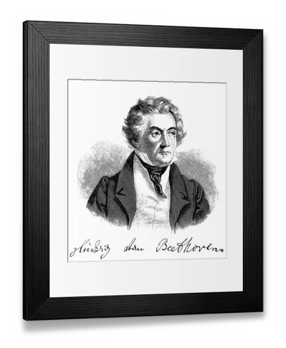Framed Print : Historical drawing from the 19th Century Framed Print : Historical drawing from the 19th Century