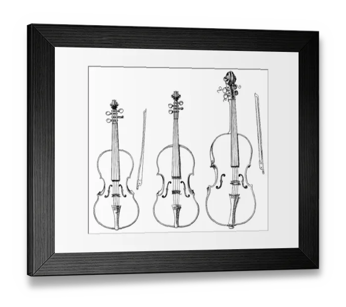 Framed Print : Historical drawings, various forms of string instruments