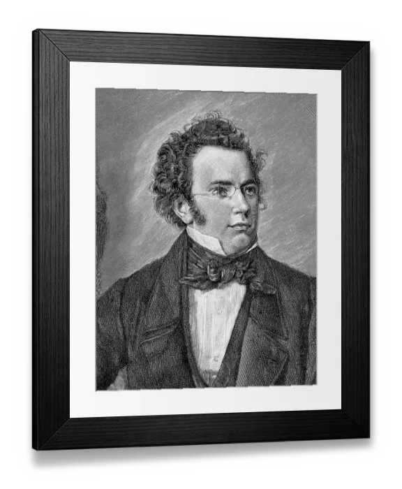 Framed Print : Historical drawing from the 19th Century