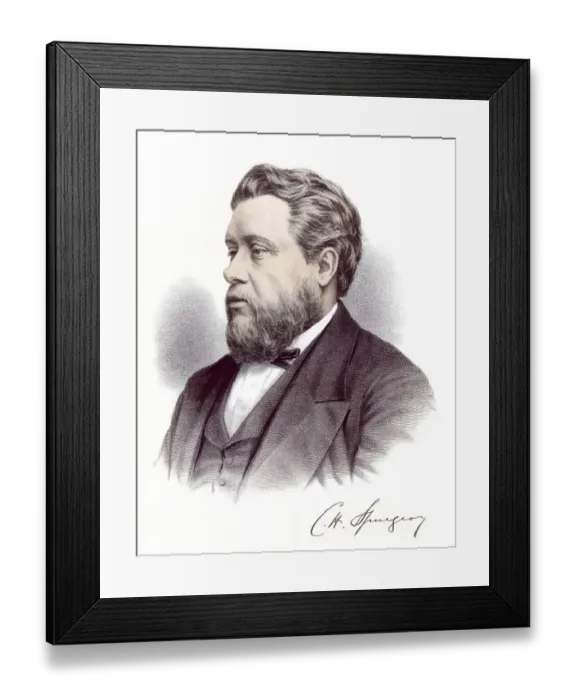 Framed Print : Historic chromolithography from the 19th century Framed Print : Historic chromolithography from the 19th century