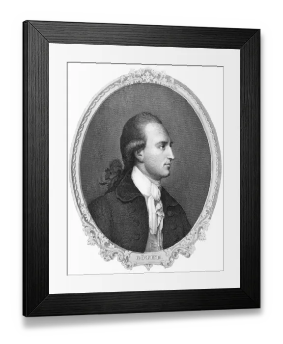 Framed Print : Historic steel engraving from the 19th century Framed Print : Historic steel engraving from the 19th century