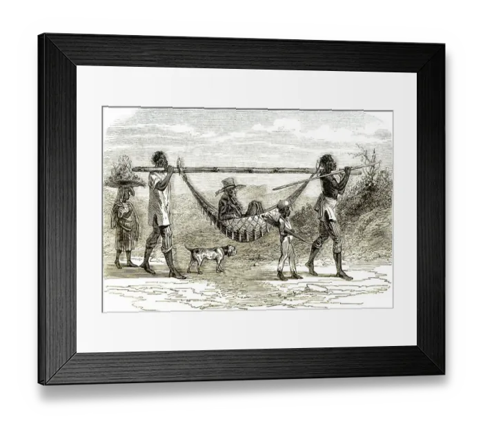 Framed Print : Historic drawing, 19th century Framed Print : Historic drawing, 19th century