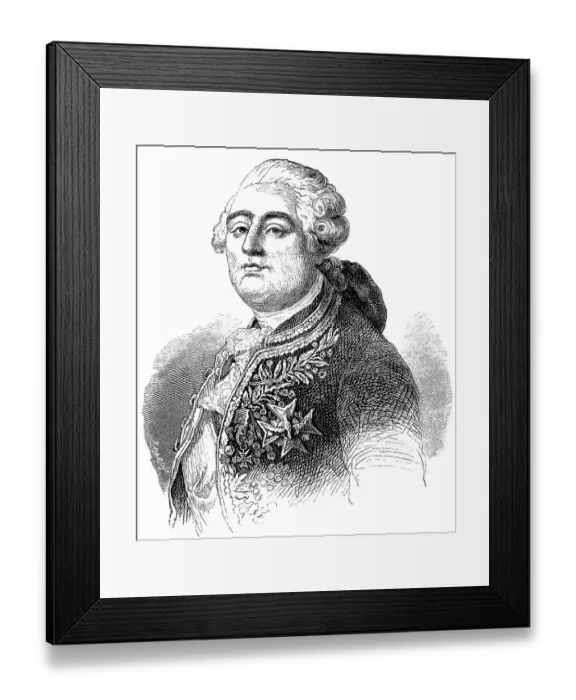 Framed Print : Historical drawing from the 19th century Framed Print : Historical drawing from the 19th century