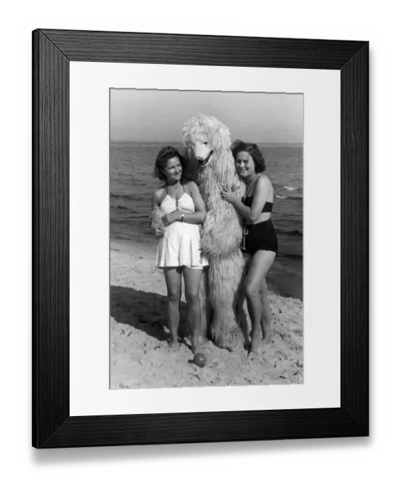 Framed Print : Swimwear, two women posing with polar bear on the beach