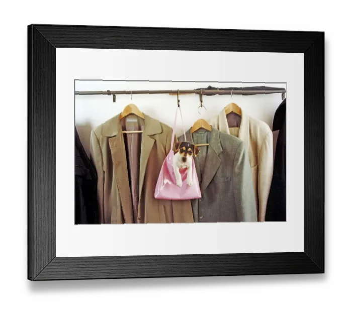 Framed Print : Jack Russell Terrier in the handbag at the coat rack
