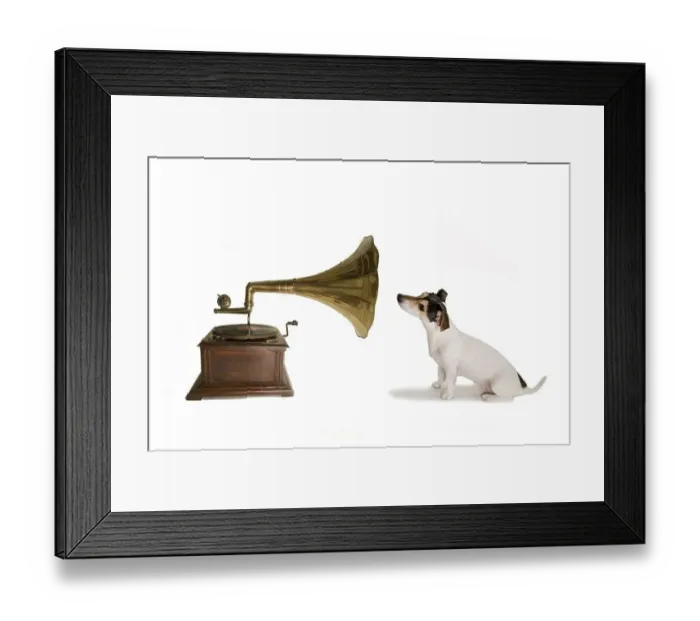 Framed Print : Jack Russell with gramophone, parody on His Masters voice