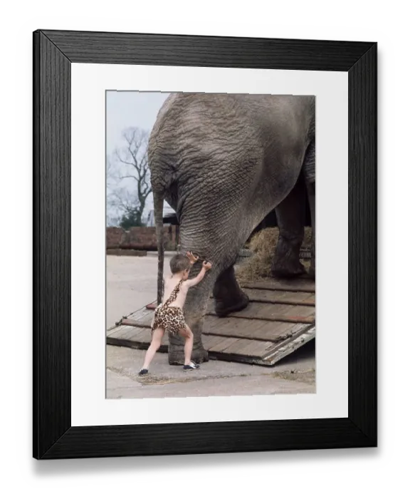 Framed Print : Child pushes elephant, England, Great Britain Framed Print : Child pushes elephant, England, Great Britain
