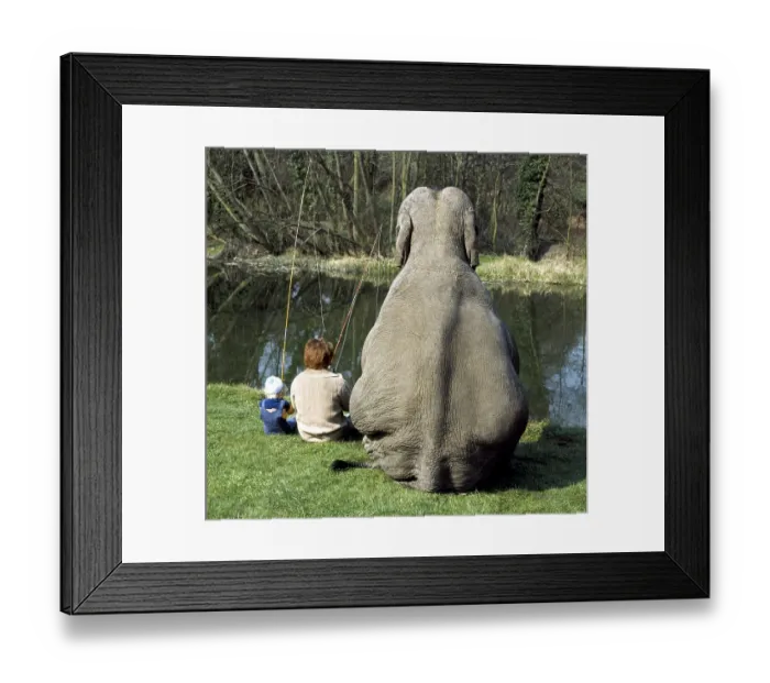 Framed Print : Elephant fishing, England, Great Britain
