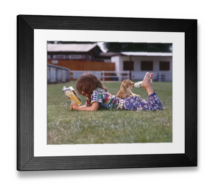Framed Print : Girl feeds young lions and reads a book