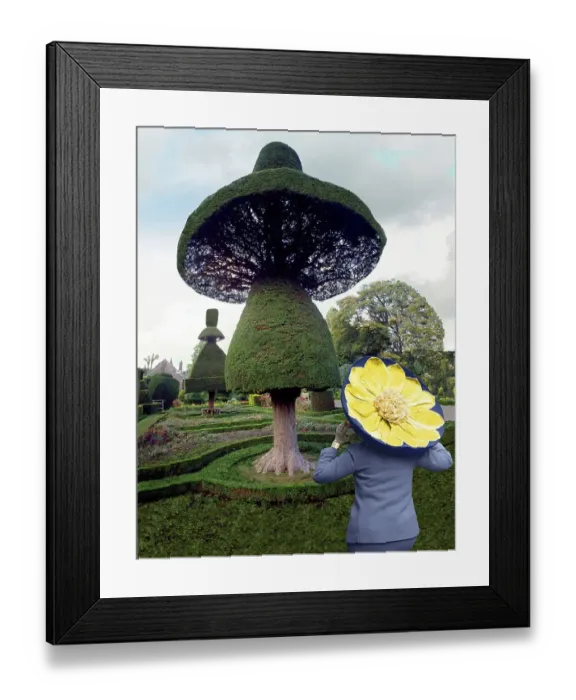 Framed Print : Mushroom cut from a hedge, England, Great Britain Framed Print : Mushroom cut from a hedge, England, Great Britain