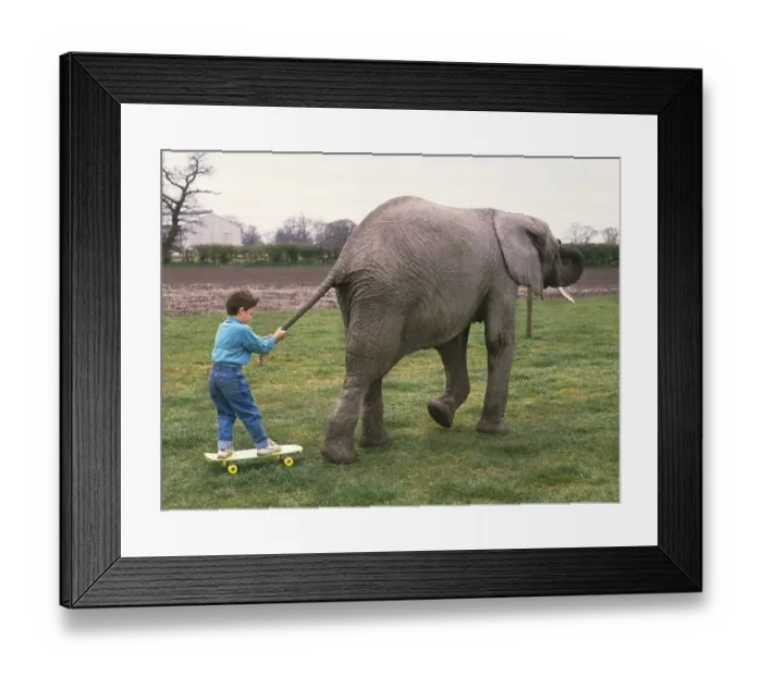 Framed Print : Boy is drawn by an elephant, England