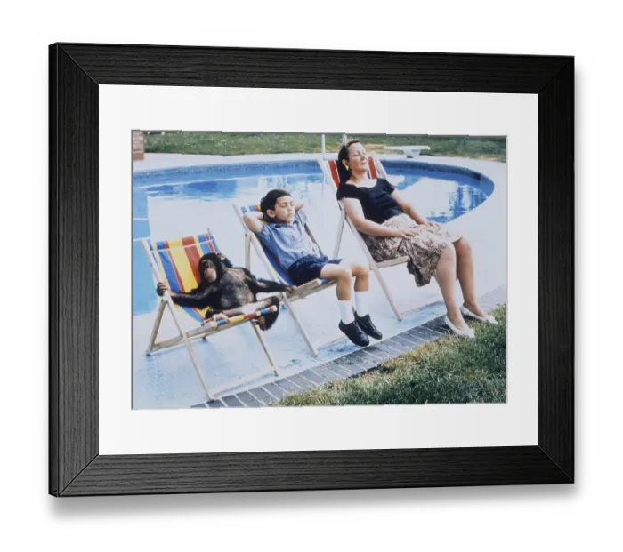 Framed Print : Monkey in company at the swimming pool Framed Print : Monkey in company at the swimming pool