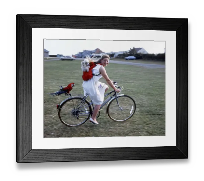 Framed Print : Girl on a bike with a dog and a parrot