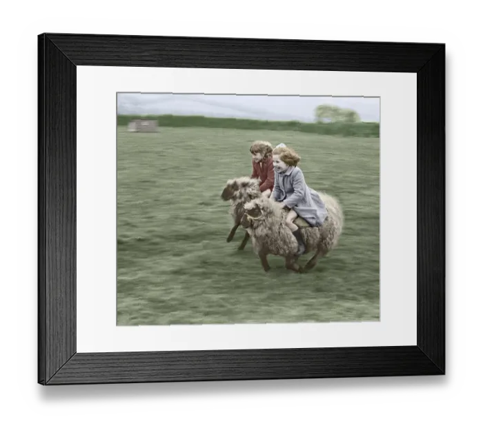 Framed Print : Two children ride on sheep, England, Great Britain
