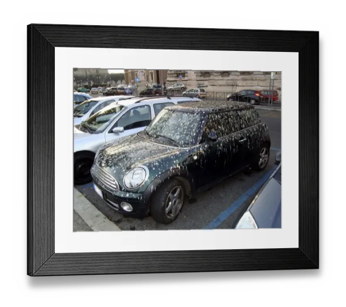 Framed Print : Mini dirtied by birds, ca. 2005 Surroundings of Leipzig