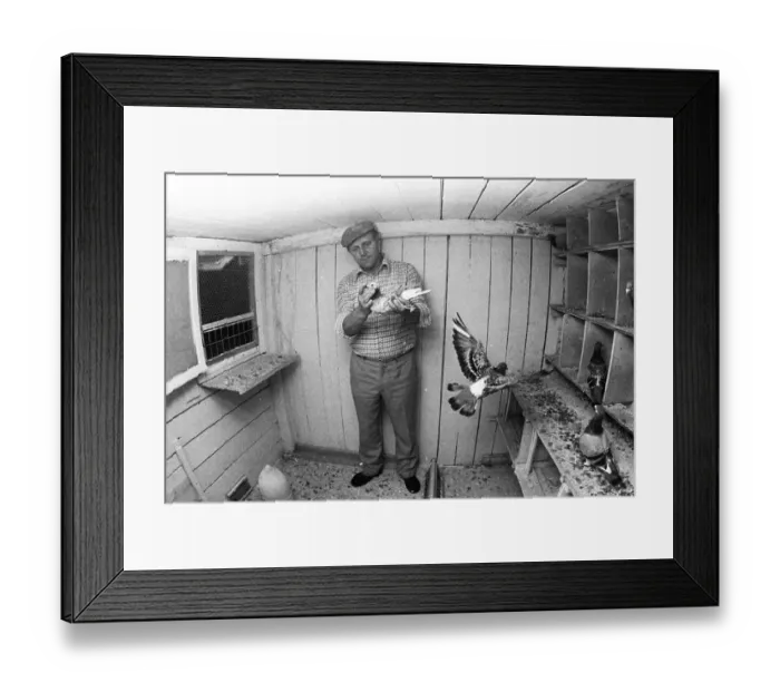 Framed Print : The Ruhr area, country and people