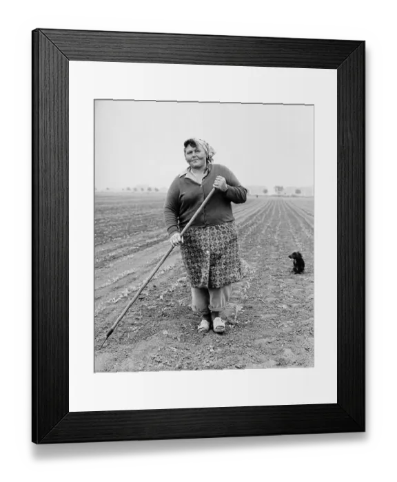 Framed Print : LPG, agricultural collective, farmwoman working in a field