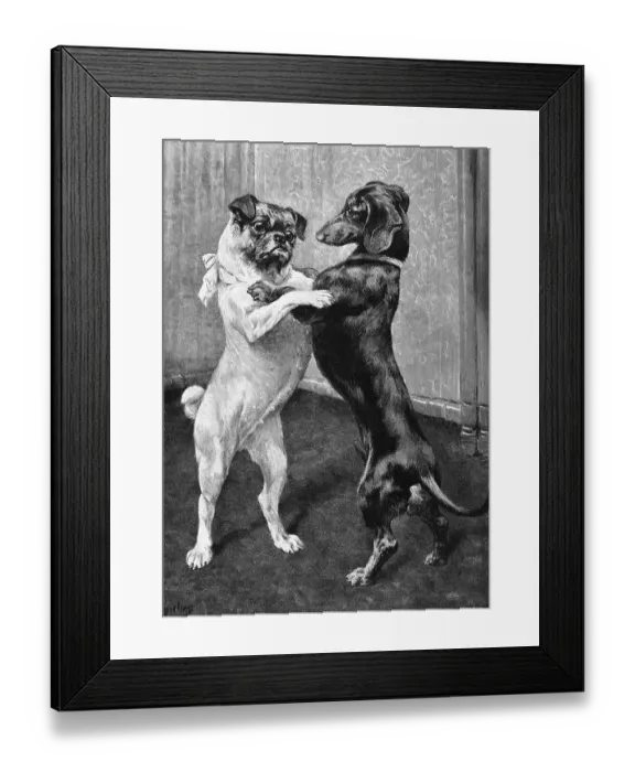Framed Print : Reunion after the end of the dog ban Framed Print : Reunion after the end of the dog ban