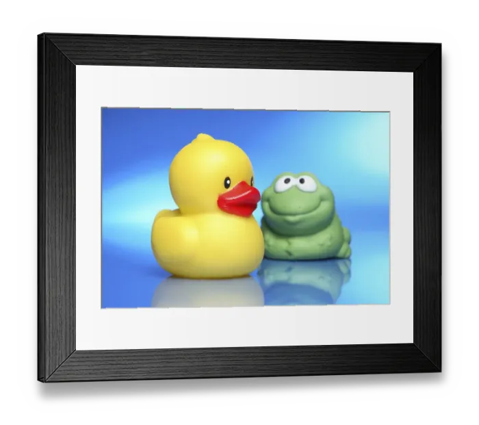 Framed Print : Rubber ducky and rubber frog