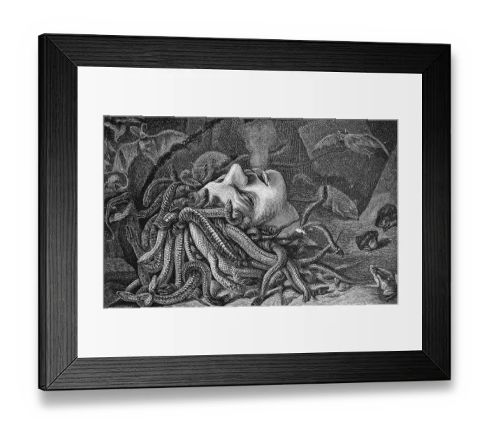 Framed Print : Head of Medusa, historic illustration, 1877 Framed Print : Head of Medusa, historic illustration, 1877