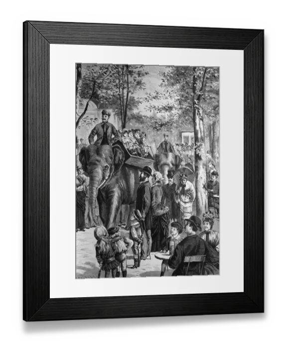 Framed Print : Elephant ride in the Berlin Zoo