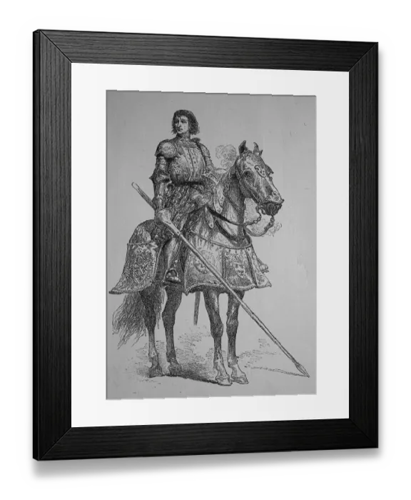 Framed Print : Pierre Terrail LeVieux, seigneur de Bayard
