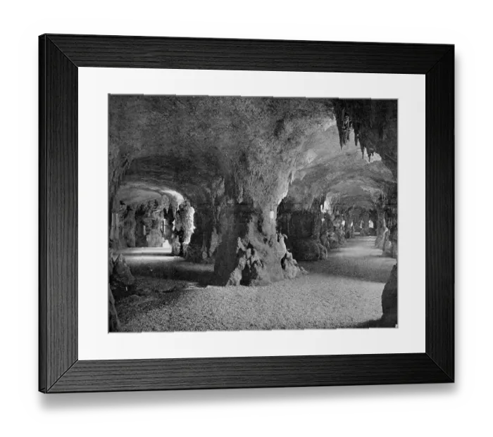 Framed Print : One of the first autotype photographs of the underground Aquarium du Trocadero