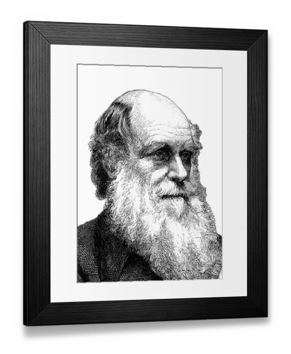 Framed Print : Charles Robert Darwin, 1809 - 1882 Framed Print : Charles Robert Darwin, 1809 - 1882