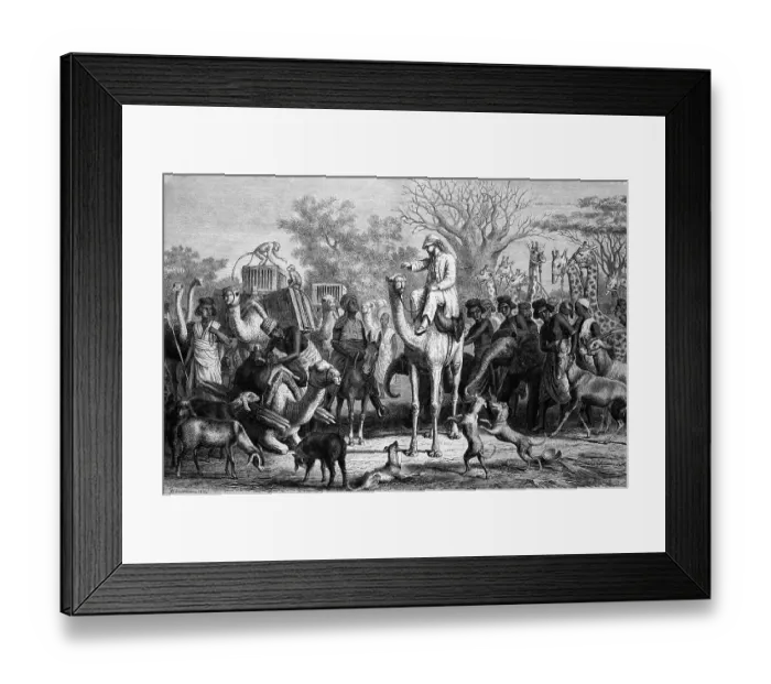Framed Print : Loading and departure of an African wildlife expedition Framed Print : Loading and departure of an African wildlife expedition