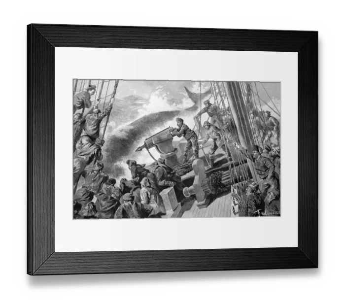 Framed Print : Whalers with a harpoon gun, historic wood engraving Framed Print : Whalers with a harpoon gun, historic wood engraving